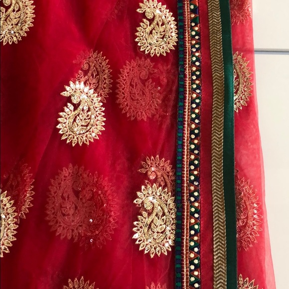 Final Sale- Indian Net Saree - Picture 5 of 8